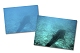 ID2 Design Retouching Photography