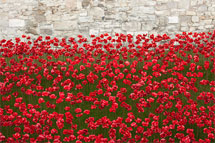 Canterbury 01