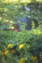 Monets Garden