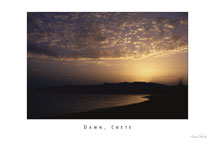 Dawn Crete