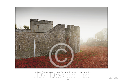 Original photography by Terence Waeland - Poppies 06