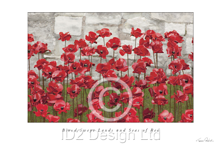 Original photography by Terence Waeland - Poppies 08