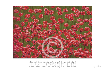 Original photography by Terence Waeland - Poppies 10