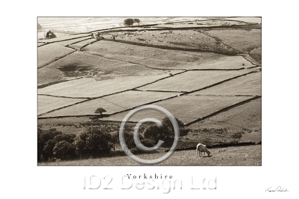 Original photography by Terence Waeland - Yorkshire 01