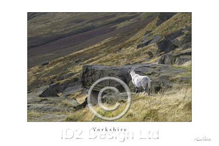 Original photography by Terence Waeland - Yorkshire 03