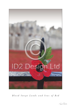 Original photography by Terence Waeland - Poppies 05