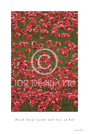 Original photography by Terence Waeland - Poppies 11